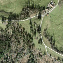 Satellite imagery of Schauenberg, CH
