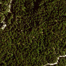 Satellite imagery of Stellwagelskopf, DE