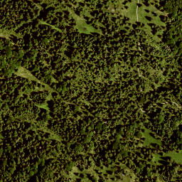 Satellite imagery of Hoher Kranzberg, DE