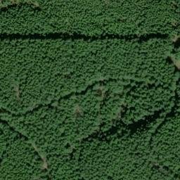 Satellite imagery of SHERWOOD — NGS SX1389 — King County, US, US