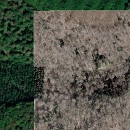 Satellite imagery of Borne frontière 321 bis, CH