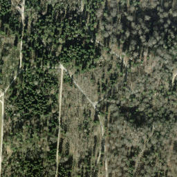Satellite imagery of Rietbuck, CH