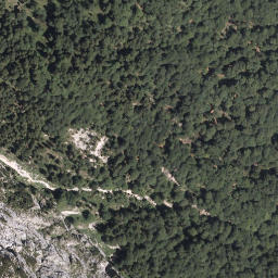 Satellite imagery of Waxenstein, DE