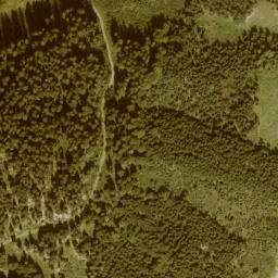 Satellite imagery of Schwarzenegg, AT