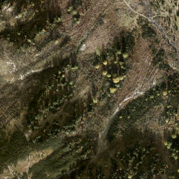 Satellite imagery of Wurzleiten, AT