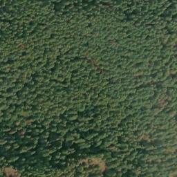 Satellite imagery of Humptulips Ridge, US