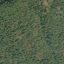 Satellite imagery of Humptulips Ridge, US