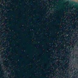 Satellite imagery of Three Tree Point, US