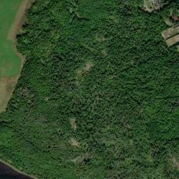 Satellite imagery of Forest Pond Hill, CA