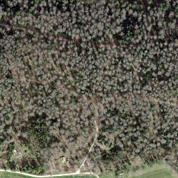 Satellite imagery of Borne 79, CH