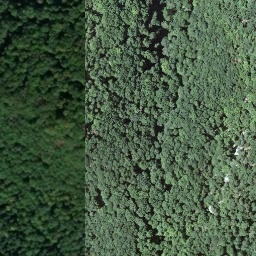 Satellite imagery of boundary_stone, CH