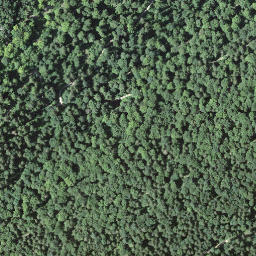 Satellite imagery of boundary_stone, CH