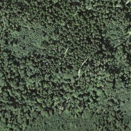 Satellite imagery of Würz, CH