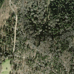 Satellite imagery of Langegg, CH