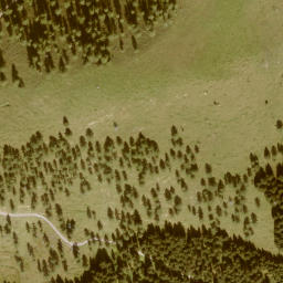 Satellite imagery of Schwarzenegg, AT
