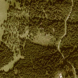 Satellite imagery of Schwarzenegg, AT