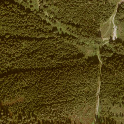 Satellite imagery of Schwarzenegg, AT