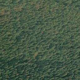 Satellite imagery of Humptulips Ridge, US