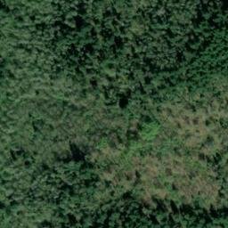 Satellite imagery of ER 11 — NGS SX1433 — King County, US, US