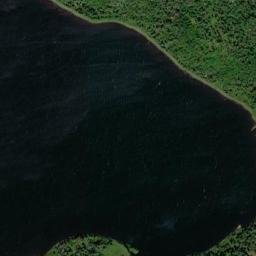 Satellite imagery of Forest Pond Hill, CA