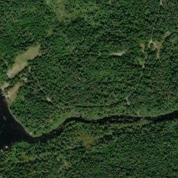 Satellite imagery of Forest Pond Hill, CA