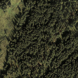 Satellite imagery of Burstkopf, AT
