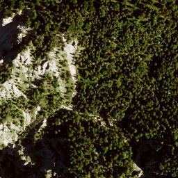 Satellite imagery of Schindeltalschrofen, DE