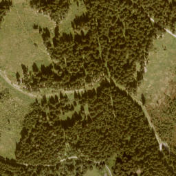 Satellite imagery of Schwarzenegg, AT