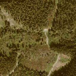 Satellite imagery of Schwarzenegg, AT