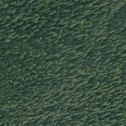 Satellite imagery of Humptulips Ridge, US