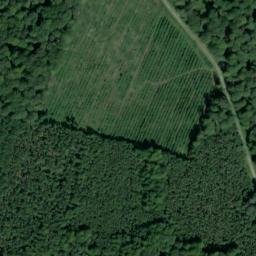Satellite imagery of 19, CH