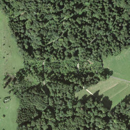 Satellite imagery of Rüsler, CH