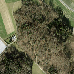Satellite imagery of Lattenbuck, CH