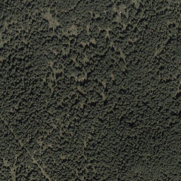 Satellite imagery of Schwarzwandel, DE