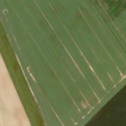 Satellite imagery of B.81., HU