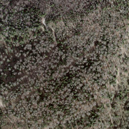 Satellite imagery of Borne frontière 52, CH