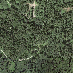 Satellite imagery of Rüsler, CH