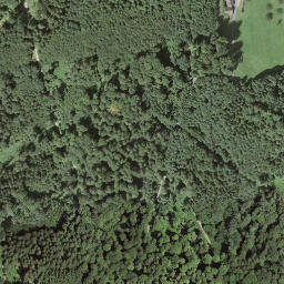 Satellite imagery of Rüsler, CH