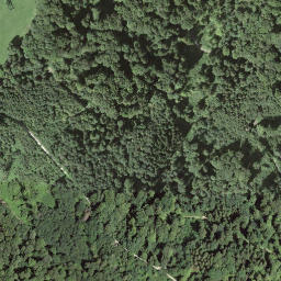 Satellite imagery of Rüsler, CH