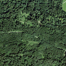 Satellite imagery of Vogelsberg, CH