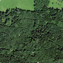 Satellite imagery of Vogelsberg, CH