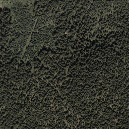 Satellite imagery of Daniel, AT