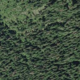 Satellite imagery of Quinault Ridge, US