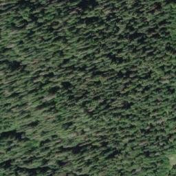 Satellite imagery of Quinault Ridge, US