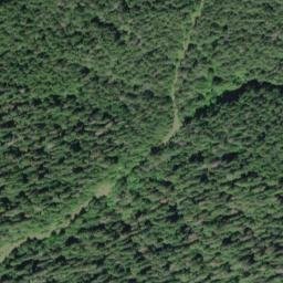Satellite imagery of Quinault Ridge, US