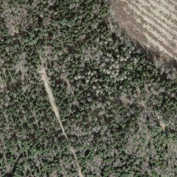 Satellite imagery of Borne 45, CH