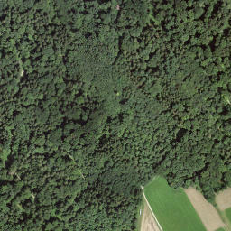 Satellite imagery of Rüsler, CH