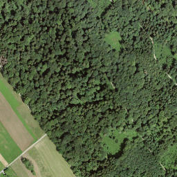 Satellite imagery of Rüsler, CH