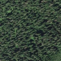 Satellite imagery of Quinault Ridge, US