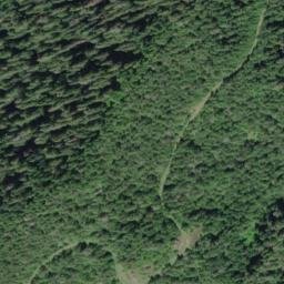 Satellite imagery of Quinault Ridge, US